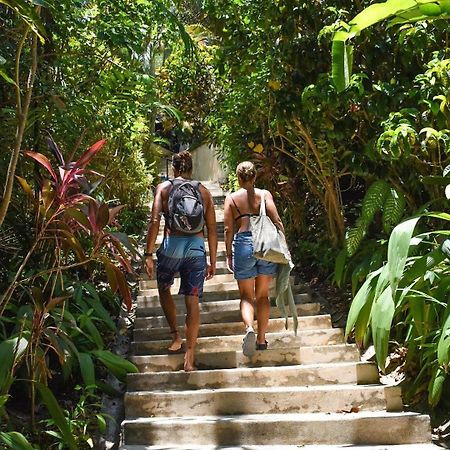 Funky Monkey Lodge Playa Santa Teresa  Luaran gambar