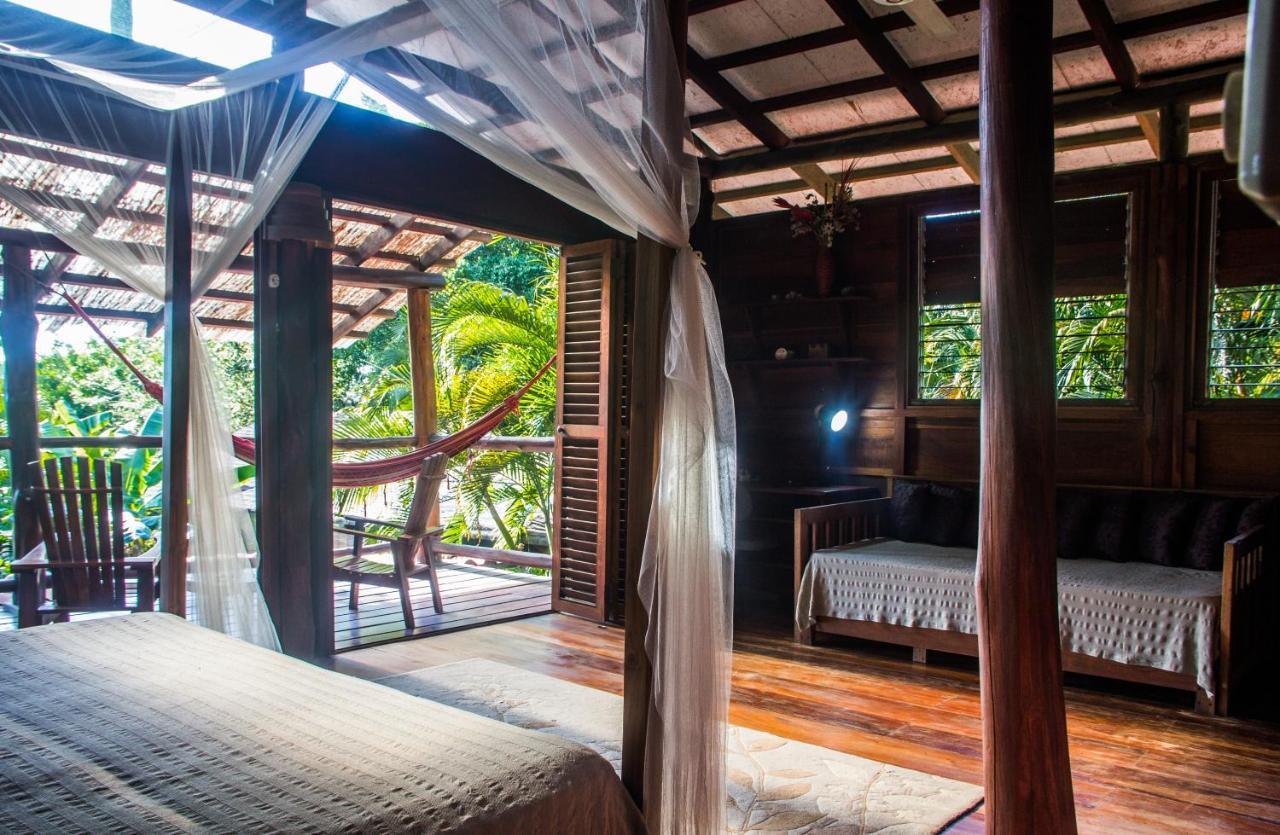 Funky Monkey Lodge Playa Santa Teresa  Luaran gambar