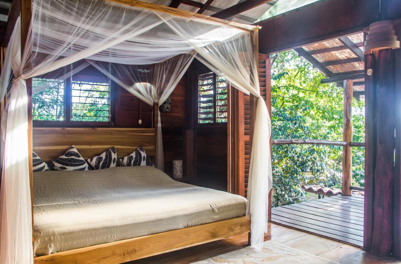 Funky Monkey Lodge Playa Santa Teresa  Luaran gambar