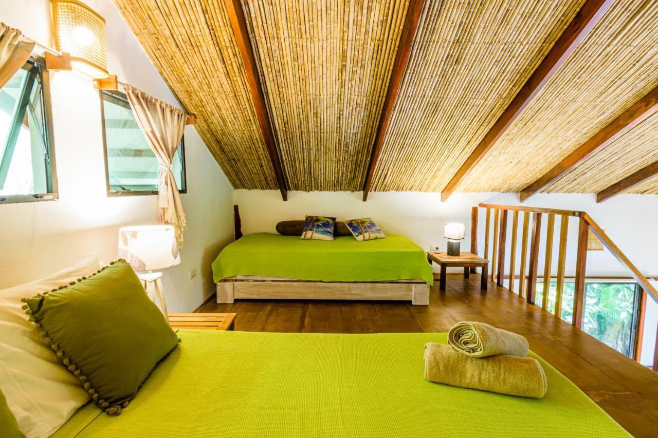 Funky Monkey Lodge Playa Santa Teresa  Luaran gambar