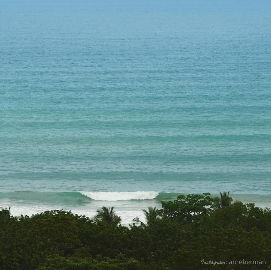 Funky Monkey Lodge Playa Santa Teresa  Luaran gambar