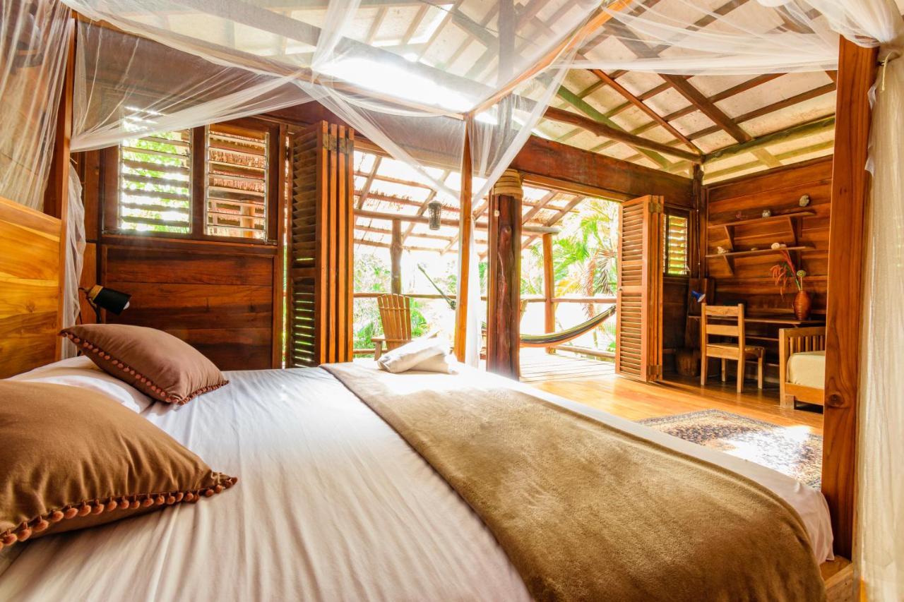Funky Monkey Lodge Playa Santa Teresa  Luaran gambar
