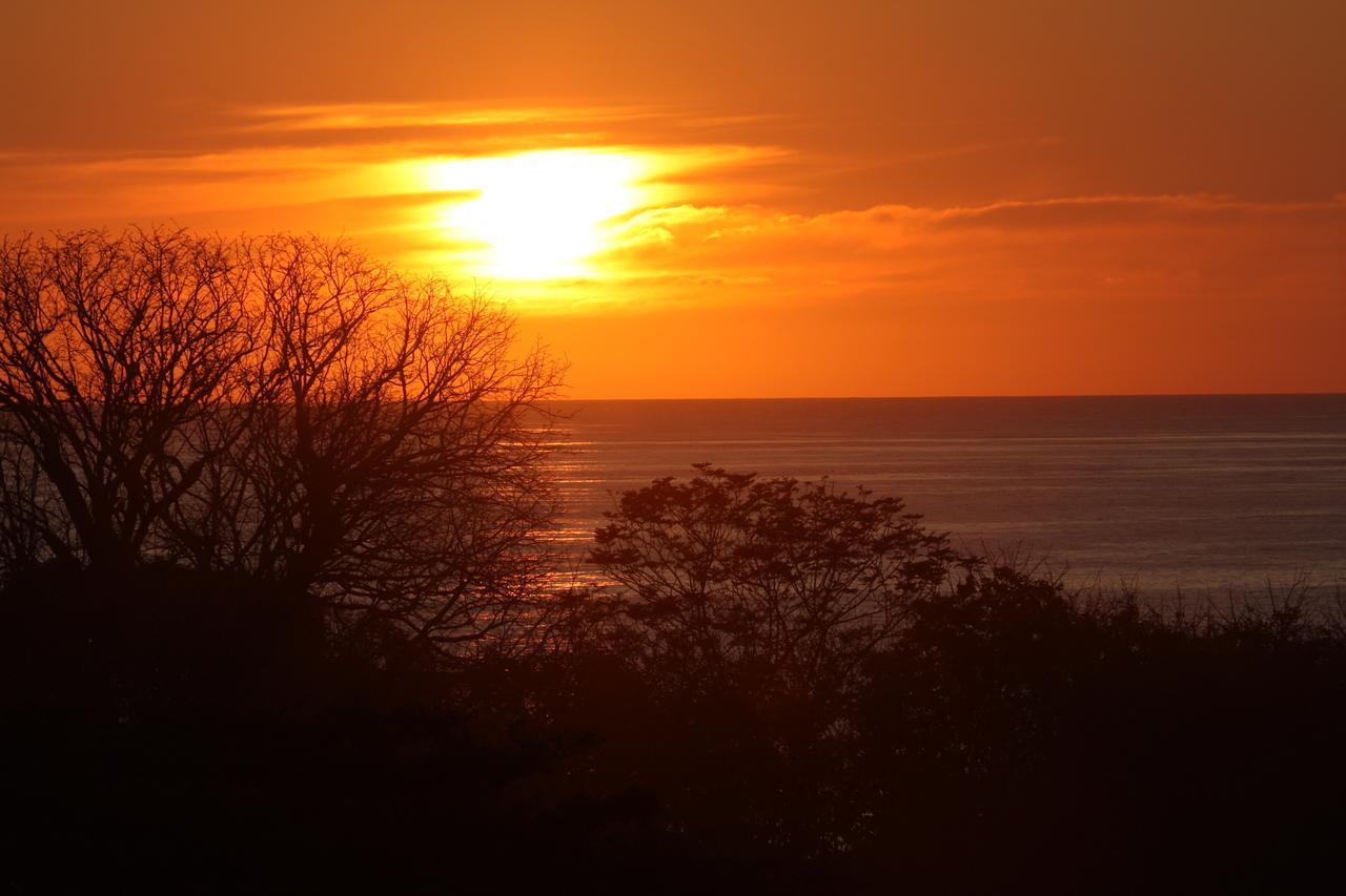 Funky Monkey Lodge Playa Santa Teresa  Luaran gambar