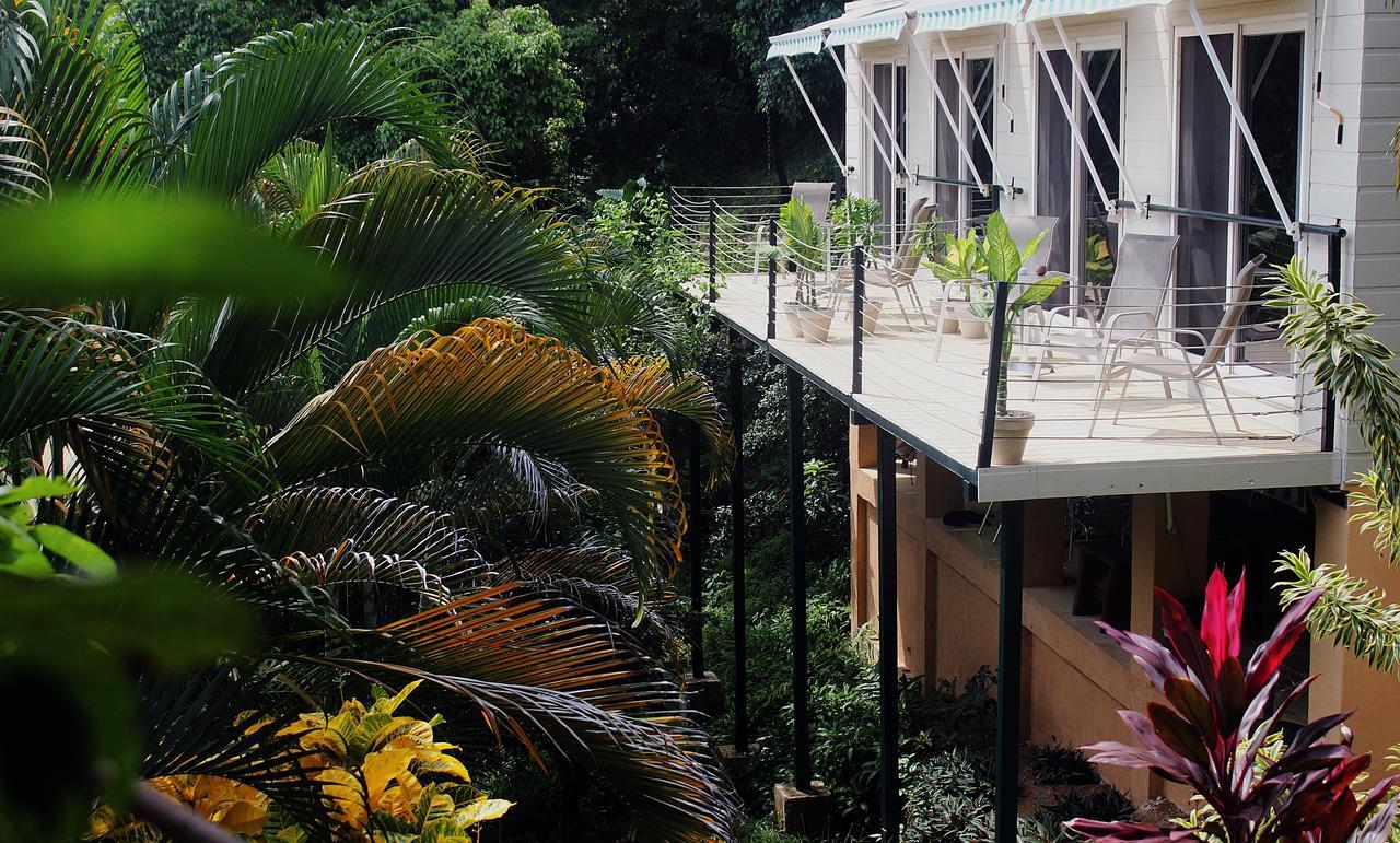 Funky Monkey Lodge Playa Santa Teresa  Luaran gambar