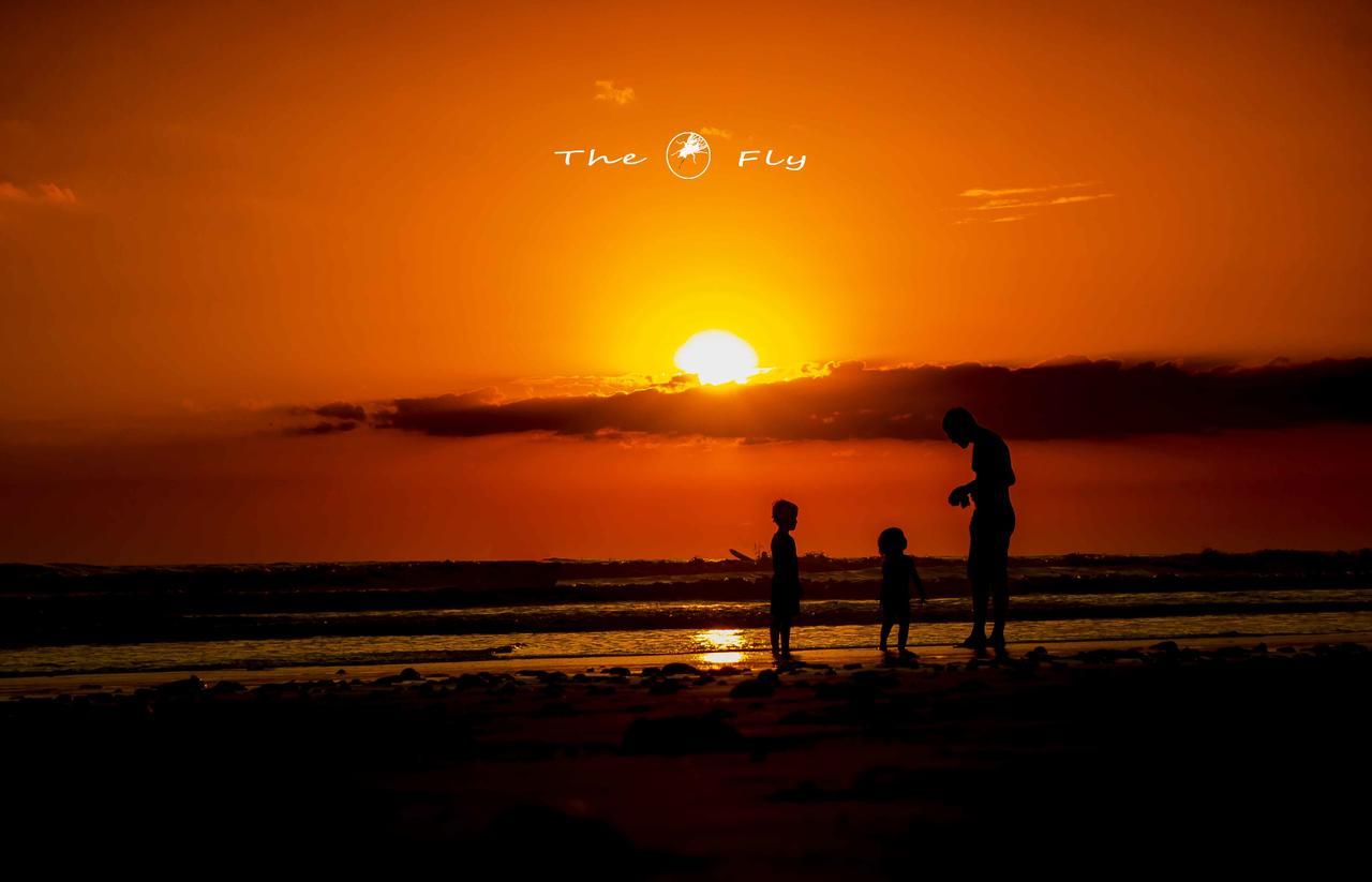 Funky Monkey Lodge Playa Santa Teresa  Luaran gambar