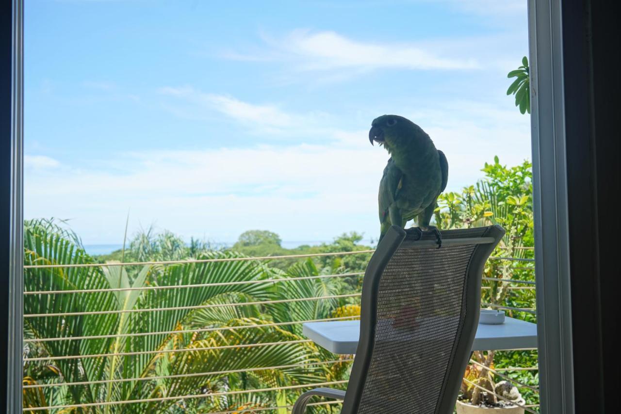 Funky Monkey Lodge Playa Santa Teresa  Luaran gambar
