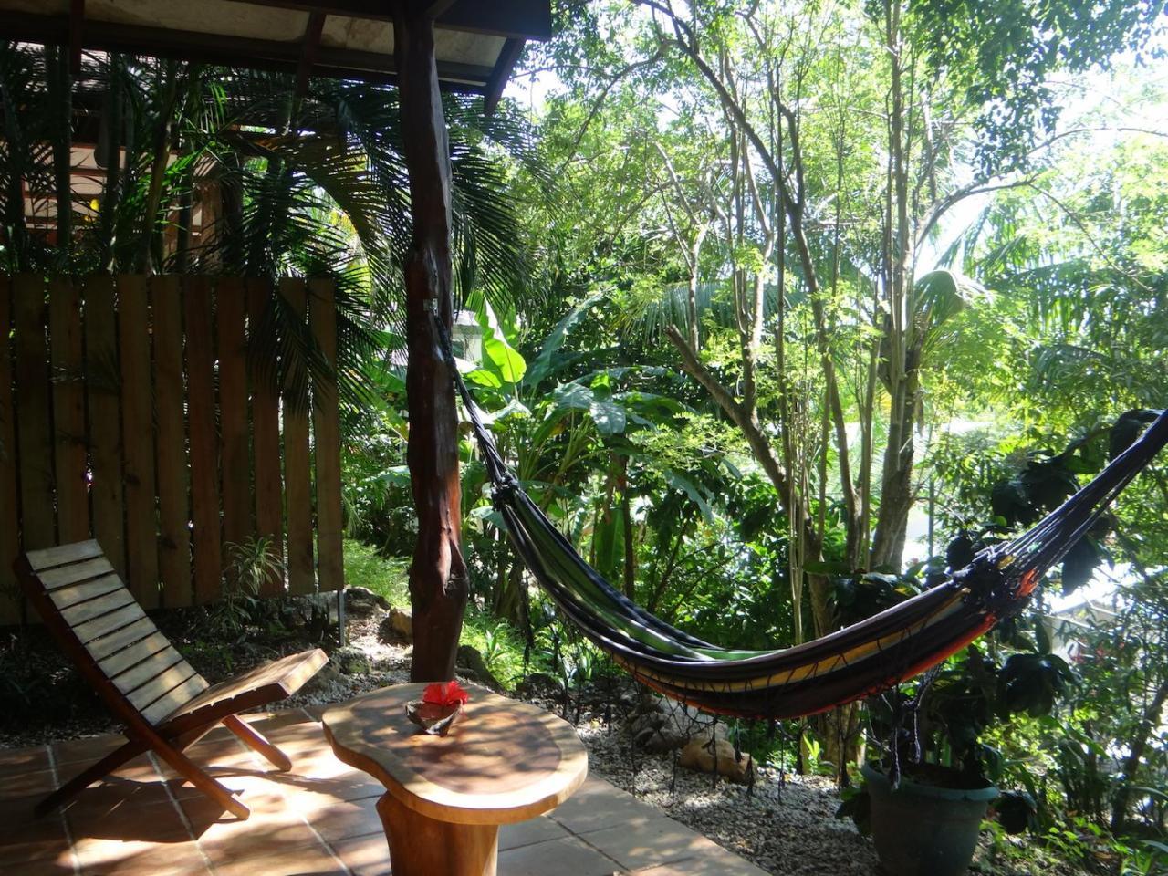 Funky Monkey Lodge Playa Santa Teresa  Luaran gambar