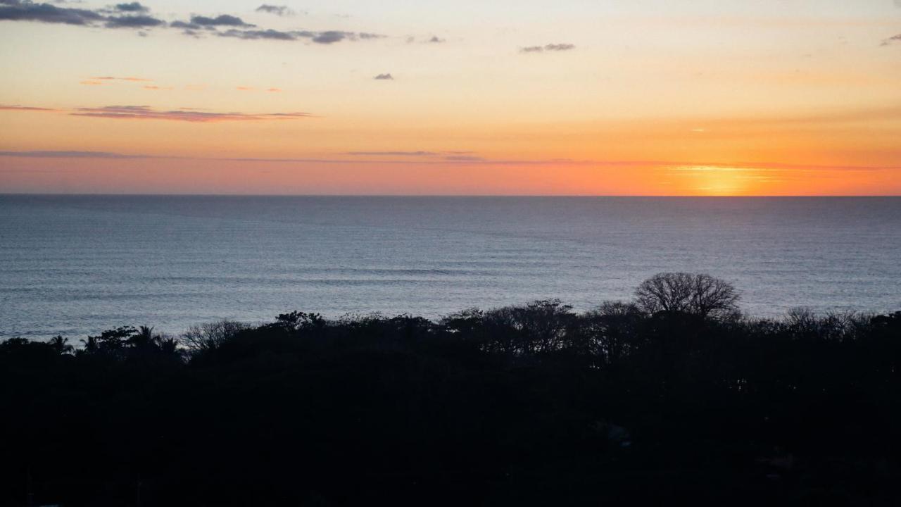Funky Monkey Lodge Playa Santa Teresa  Luaran gambar